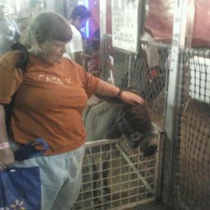 Meet your Posher, Sean